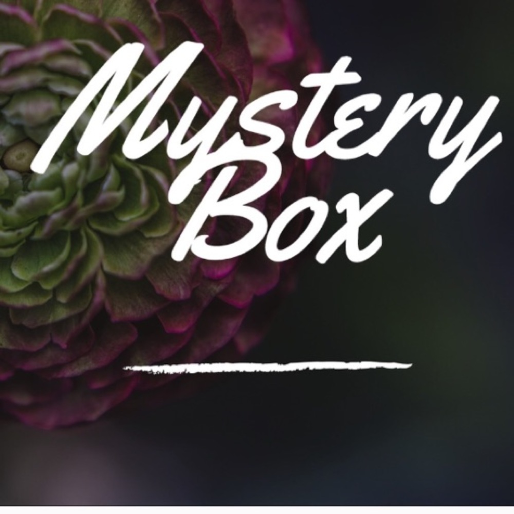 ❣️Mystery Box